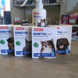 Dierenspeciaalzaak BOONIES image 2