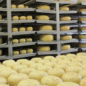 Kaasmakerij Utopia image 4