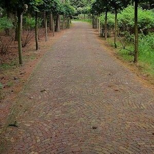 LUWA Sierbestrating image 1