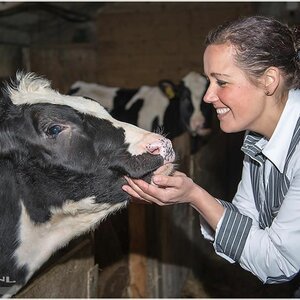 Hans Halman Keurslager image 3