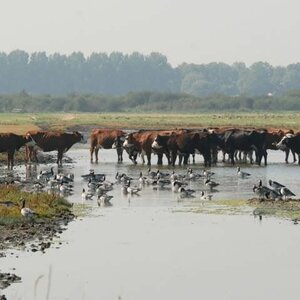 Zorgboerderij Dijkgatshoeve image 1