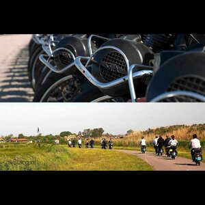 Solexverhuurtexel image 2