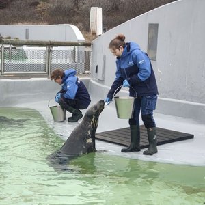 Ecomare image 1