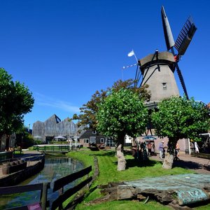 Ecomare image 7