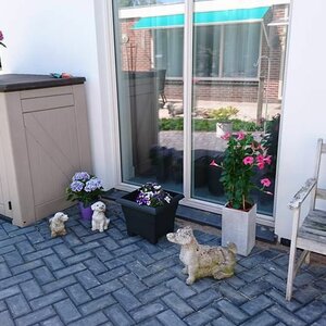 BnB 't Kraaiennest image 2