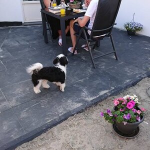 BnB 't Kraaiennest image 3