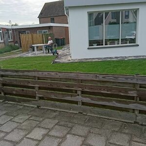 BnB 't Kraaiennest image 4