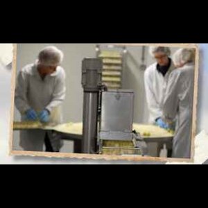 Visserijbedrijf R.W. van der Burg image 6