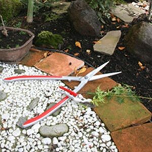 Hoveniersbedrijf Aardewerk image 2