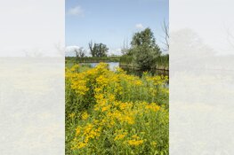 Fotogenieke plekken in Nederland