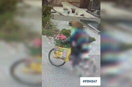 Politie zoekt eigenaar van bosje bloemen die van graf zijn gestolen