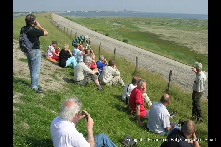 Beleef buiten op Balgzand