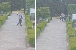 Politie zoekt man die bloemen van graven steelt in Den Helder