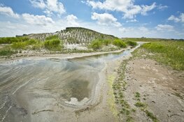 Zwerftocht langs nieuwe stadsnatuur