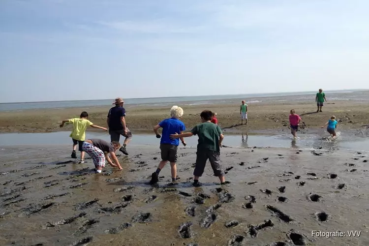 Wadexcursies Den Helder 2019