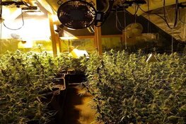 Politiehelikopter ontdekt hennepkwekerij