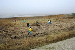Jaarlijkse opruimactie Balgzand op 7 maart