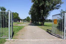 Iepziekte slaat opnieuw toe in Den Helder