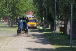 Iepziekte slaat opnieuw toe in Den Helder