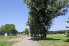 Iepziekte slaat opnieuw toe in Den Helder