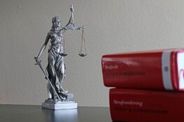 OM eist in hoger beroep ook TBS voor moordpoging in Den Helder