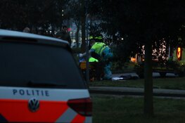 Voetganger aangereden op zebrapad Den Helder