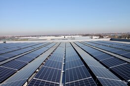 Veel platte daken in gemeente Den Helder nog zonder zonnepanelen