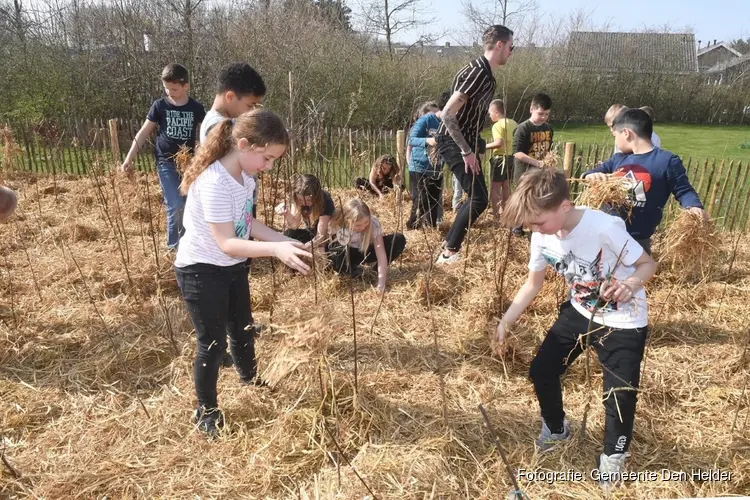 Tweede minibosje aangeplant