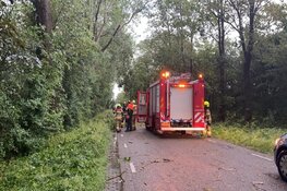 Takken op de weg gewaaid nabij Van Ewijcksluis