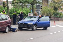 Automobilist neemt de benen na botsing met boom in Den Helder