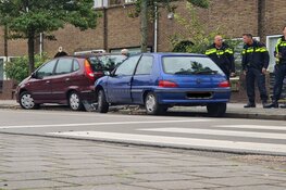 Automobilist neemt de benen na botsing met boom in Den Helder