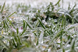 Koudere nachten en eind van de week kans op winterse buien