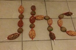 Handbalsters JHC lopen dorp door voor vogels en de clubkas