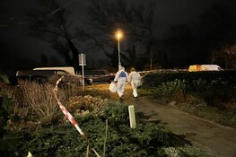 Persoon overleden bij geweldsincident op Ruyghweg, verdachte aangehouden