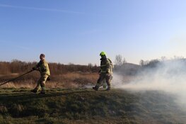 Duinbrand in Den Helder snel onder controle