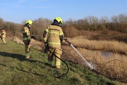 Duinbrand in Den Helder snel onder controle