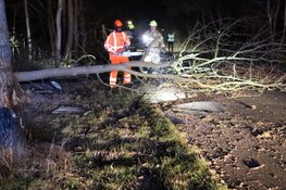 Gewonde na zware crash in Den Helder