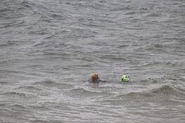 Hulpdiensten in Den Helder rukken uit voor professionele zwemmer