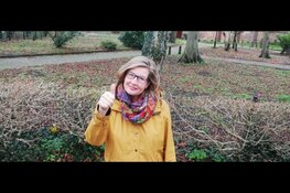 Workshop Mantelzorg en Positieve Gezondheid