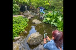 Workshop smartphone fotografie in Den Helder, Alkmaar en Uitgeest