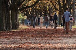 Droger weer verwacht bij start van de herfst