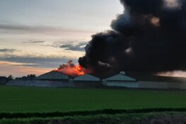 Grote brand bij Bloembollenbedrijf in Den Helder