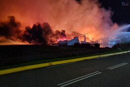 Grote brand bij Bloembollenbedrijf in Den Helder