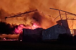 Grote brand bij Bloembollenbedrijf in Den Helder