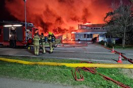 Grote brand bij Bloembollenbedrijf in Den Helder