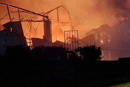 Grote brand bij Bloembollenbedrijf in Den Helder