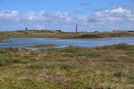 Een winteravondwandeling door de Grafelijkheidsduinen bij Den Helder