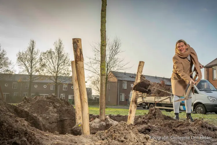 Wethouder Bais plant eerste van 130 nieuwe bomen