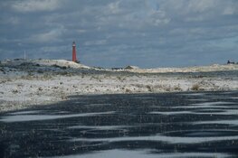 Winterwandeling door de Grafelijkheidsduinen bij Den Helder