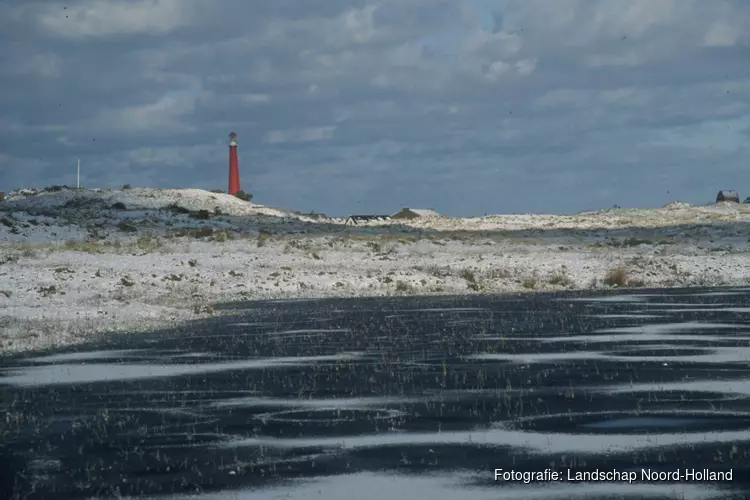 Winterwandeling door de Grafelijkheidsduinen bij Den Helder